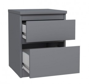 2.03.03.050.4 КАСТОР тумба 2 ящика RU серая в Сысерти - sysert.ok-mebel.com | фото 2