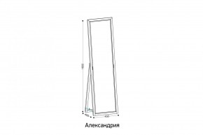 АЛЕКСАНДРИЯ-9.1 Зеркало напольное в Сысерти - sysert.ok-mebel.com | фото 2