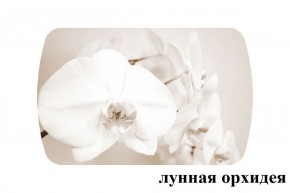 БОСТОН - 2 опоры Триумф в Сысерти - sysert.ok-mebel.com | фото 18