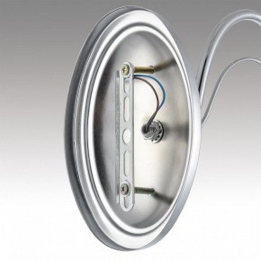 Бра Lumion INCANTO 8034/1W в Сысерти - sysert.ok-mebel.com | фото 7