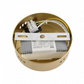 Бра Lumion TRENDY 8259/15WCL в Сысерти - sysert.ok-mebel.com | фото 7
