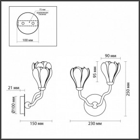 Бра Odeon Light Gardi 5090/2W в Сысерти - sysert.ok-mebel.com | фото 4