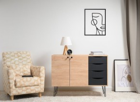 БРЮС Комод 16.233 в Сысерти - sysert.ok-mebel.com | фото 2