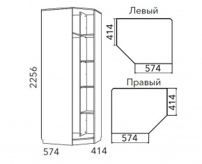Детская Фанк Шкаф угловой Левый/Правый НМ 013.04-02 М в Сысерти - sysert.ok-mebel.com | фото 3