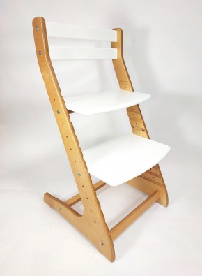 Детский растущий стул ROLTI UP (Лофт-2) в Сысерти - sysert.ok-mebel.com | фото 1