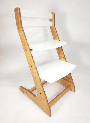 Детский растущий стул ROLTI UP (Лофт-2) в Сысерти - sysert.ok-mebel.com | фото 2