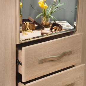 ДИАНА Д11 Шкаф для одежды в Сысерти - sysert.ok-mebel.com | фото 5