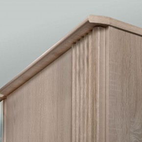 ДИАНА Д11 Шкаф для одежды в Сысерти - sysert.ok-mebel.com | фото 6