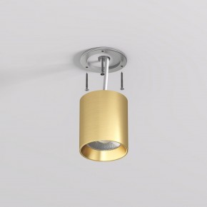 DK2610-SB Накладной светильник SHINE TUBE со светодиодом, D70*H80, IP20, 3000К, 10W, RA?90, сатинированная латунь, алюминий в Сысерти - sysert.ok-mebel.com | фото 3
