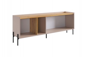 ДОМИНИКА Тумба 2 в Сысерти - sysert.ok-mebel.com | фото 4
