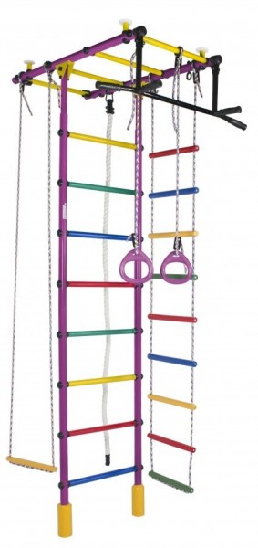 ДСК Атлант цв.фиолетовый радуга: турник, кольца, канат, трапеция, веревочная лестница в Сысерти - sysert.ok-mebel.com | фото