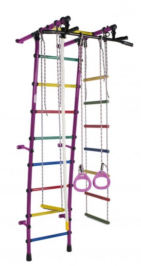 ДСК Стелла цв.фиолетовый радуга: турник, кольца, канат, трапеция, веревочная лестница в Сысерти - sysert.ok-mebel.com | фото