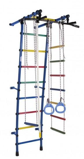 ДСК Стелла цв.синий радуга: турник, кольца, канат, трапеция, веревочная лестница в Сысерти - sysert.ok-mebel.com | фото