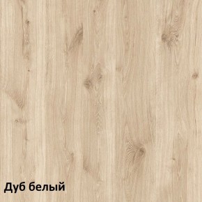 Эйп Шкаф комбинированный 13.14 в Сысерти - sysert.ok-mebel.com | фото 4