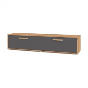 ФЛОРИДА Ф31 Тумба ТВ (дуб золотой/графит) в Сысерти - sysert.ok-mebel.com | фото