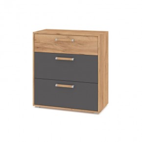 ФЛОРИДА Гостиная (модульная) дуб золотой/графит в Сысерти - sysert.ok-mebel.com | фото 8