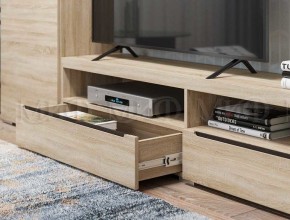 ЭКОЛЬ Гостиная Вариант №3 МДФ (Дуб сонома) в Сысерти - sysert.ok-mebel.com | фото 2