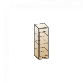 Гостиная Камелия Композиция 9 (Снежный ясень) в Сысерти - sysert.ok-mebel.com | фото 2
