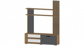 КАРОЛИНА Гостиная в Сысерти - sysert.ok-mebel.com | фото 5