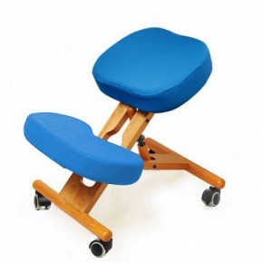 Коленный стул Smartstool KW02 + Чехлы в Сысерти - sysert.ok-mebel.com | фото