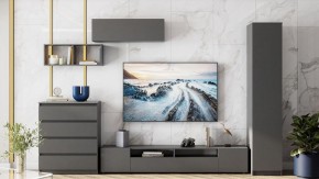 Комод Сибити в Сысерти - sysert.ok-mebel.com | фото 5