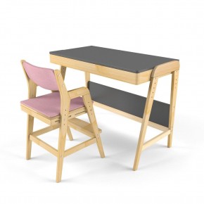 Комплект растущий стол и стул с чехлом 38 попугаев «Вуди» (Серый, Береза, Розовый) в Сысерти - sysert.ok-mebel.com | фото