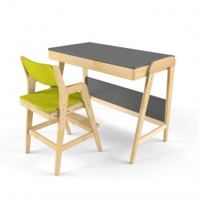 Комплект растущий стол и стул с чехлом 38 попугаев «Вуди» (Серый, Без покрытия, Грин) в Сысерти - sysert.ok-mebel.com | фото