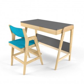 Комплект растущий стол и стул с чехлом 38 попугаев «Вуди» (Серый, Без покрытия, Лазурь) в Сысерти - sysert.ok-mebel.com | фото