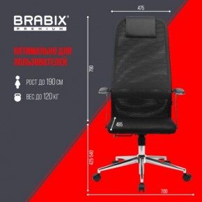 Кресло BRABIX PREMIUM "Ultimate EX-801" хром, плотная двойная сетка Х2, черное, 532917 в Сысерти - sysert.ok-mebel.com | фото 7