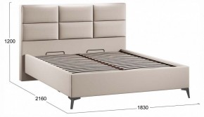 Кровать двуспальная Делана с ПМ Тип 1 в Сысерти - sysert.ok-mebel.com | фото 3