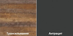 Кухонный гарнитур угловой Трансильвания 2600х1600 мм (Стол. 26 мм) в Сысерти - sysert.ok-mebel.com | фото 3