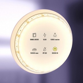 Лента светодиодная Maytoni Led strip 10114 в Сысерти - sysert.ok-mebel.com | фото 2