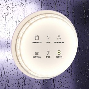 Лента светодиодная Maytoni Led strip 10118 в Сысерти - sysert.ok-mebel.com | фото 2
