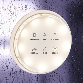 Лента светодиодная Maytoni Led strip 10124 в Сысерти - sysert.ok-mebel.com | фото 3