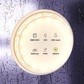 Лента светодиодная Maytoni Led strip 10131 в Сысерти - sysert.ok-mebel.com | фото 2