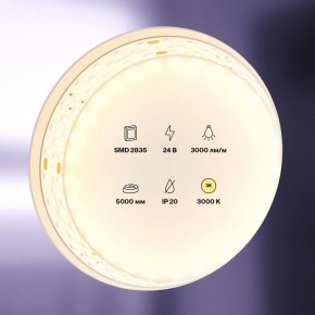 Лента светодиодная Maytoni Led strip 20031 в Сысерти - sysert.ok-mebel.com | фото 2