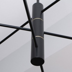 Люстра на штанге Favourite Imma 4375-6P в Сысерти - sysert.ok-mebel.com | фото 2
