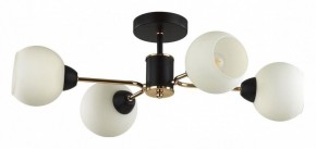 Люстра на штанге Lumion KODI 5646/4C в Сысерти - sysert.ok-mebel.com | фото