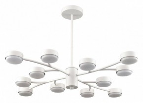 Люстра на штанге Lumion TORINA 8265/12 в Сысерти - sysert.ok-mebel.com | фото