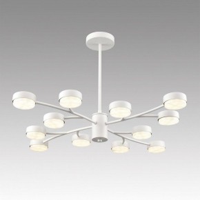 Люстра на штанге Lumion TORINA 8265/12 в Сысерти - sysert.ok-mebel.com | фото 3