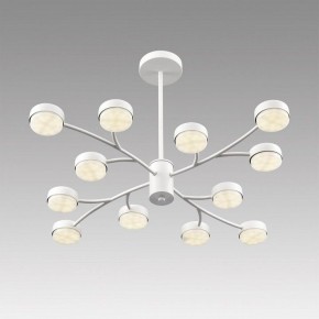 Люстра на штанге Lumion TORINA 8265/12 в Сысерти - sysert.ok-mebel.com | фото 5
