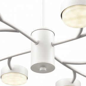 Люстра на штанге Lumion TORINA 8265/12 в Сысерти - sysert.ok-mebel.com | фото 8