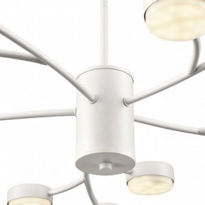 Люстра на штанге Lumion TORINA 8265/15 в Сысерти - sysert.ok-mebel.com | фото 8