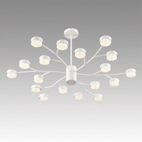 Люстра на штанге Lumion TORINA 8265/18 в Сысерти - sysert.ok-mebel.com | фото 5