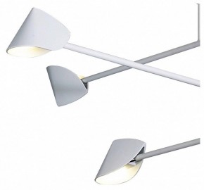 Люстра на штанге Mantra Capuccina 7570 в Сысерти - sysert.ok-mebel.com | фото 4