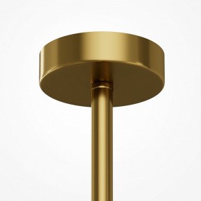 Люстра на штанге Maytoni Museo MOD436PL-05BS в Сысерти - sysert.ok-mebel.com | фото 6