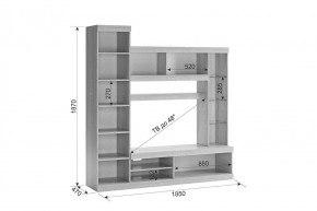 МАКСИ К1 Стенка для гостиной дуб сонома/белое дерево в Сысерти - sysert.ok-mebel.com | фото 1