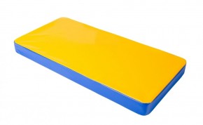 Мат гимнастический 1х0,5х0,08м цв. синий-желтый в Сысерти - sysert.ok-mebel.com | фото
