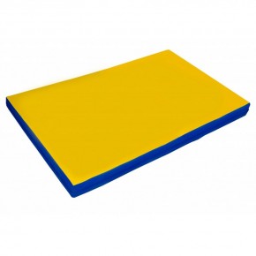 Мат гимнастический 2х1х0,05м цв. синий-желтый в Сысерти - sysert.ok-mebel.com | фото