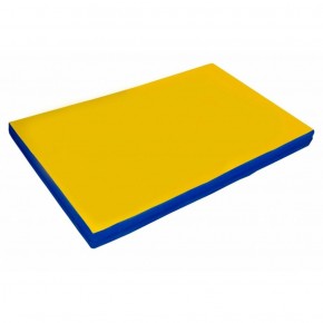 Мат гимнастический, прямоугольный. Длина 2 м, ширина 1 м, толщина 8 см синий-желтый   в Сысерти - sysert.ok-mebel.com | фото